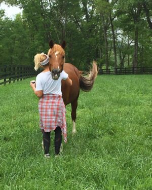 Miranda Lambert Instagram - The pretty inspiration behind the @idyllwind brand. This is Ellie (Idyllwind Ellund ). She is a Welsh Cob and she is a feisty red head. This is the first horse that really taught me to be brave and try things that scare me. I didn’t start riding until I was 30 but it was always a dream of mine. She kept me safe in the saddle and she showed how me to get in the show ring with confidence. Now I have 6 horses and riding is my biggest passion besides rescue animals and music. This brand @idyllwind is about being who you are, being brave and taking chances. About trying new things no matter where you are in your life. About  going out there  and getting what you want. Horses are the best teachers🐴. She is pretty much retired now at the farm living her best green pasture life but every time I ride her I think about our decade together and thank her for all the lessons. #idyllwindellund
🧡🐴