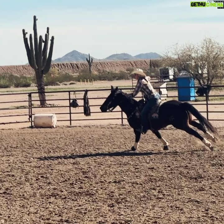 Miranda Lambert Instagram - Country and Western! π΄π§‘π΅ποΈβοΈ Went back out west to AZ to visit @kenda_lenseigne again and to learn from the master. This time I brought @brendanjmcloughlin along for the ride. Literally. He doesnβt ride but figured it all out pretty quick. Kenda, you made a cowboy out of our NYC boy. ππ€ π΄. We celebrated 5 years married on horse back this year. Love ya babe. β€οΈ couples who cowboy together β¦. 1. Me and my gal pal / the boss @kenda_lenseigne (missing you @samanthacrook1 ) 2. Brendan and Justin, me and Cool and some new friends on a looong loooong trail ride to @haroldscorral thanks to @therealrussoresidential π 3. Cool and I getting to know eachother and me trying to hit my dang targets. 4.Brendan and Savvy haulin ass on his first run ever! Slow down! π (@samanthacrook1 OMG )ππ 5. Learnin to sort cows. 6. Cool and me π§‘π΄ love at first ride. 7.β€οΈ π5 years 8. The Boss on Charles. π€ π²π€― Cave Creek, Arizona