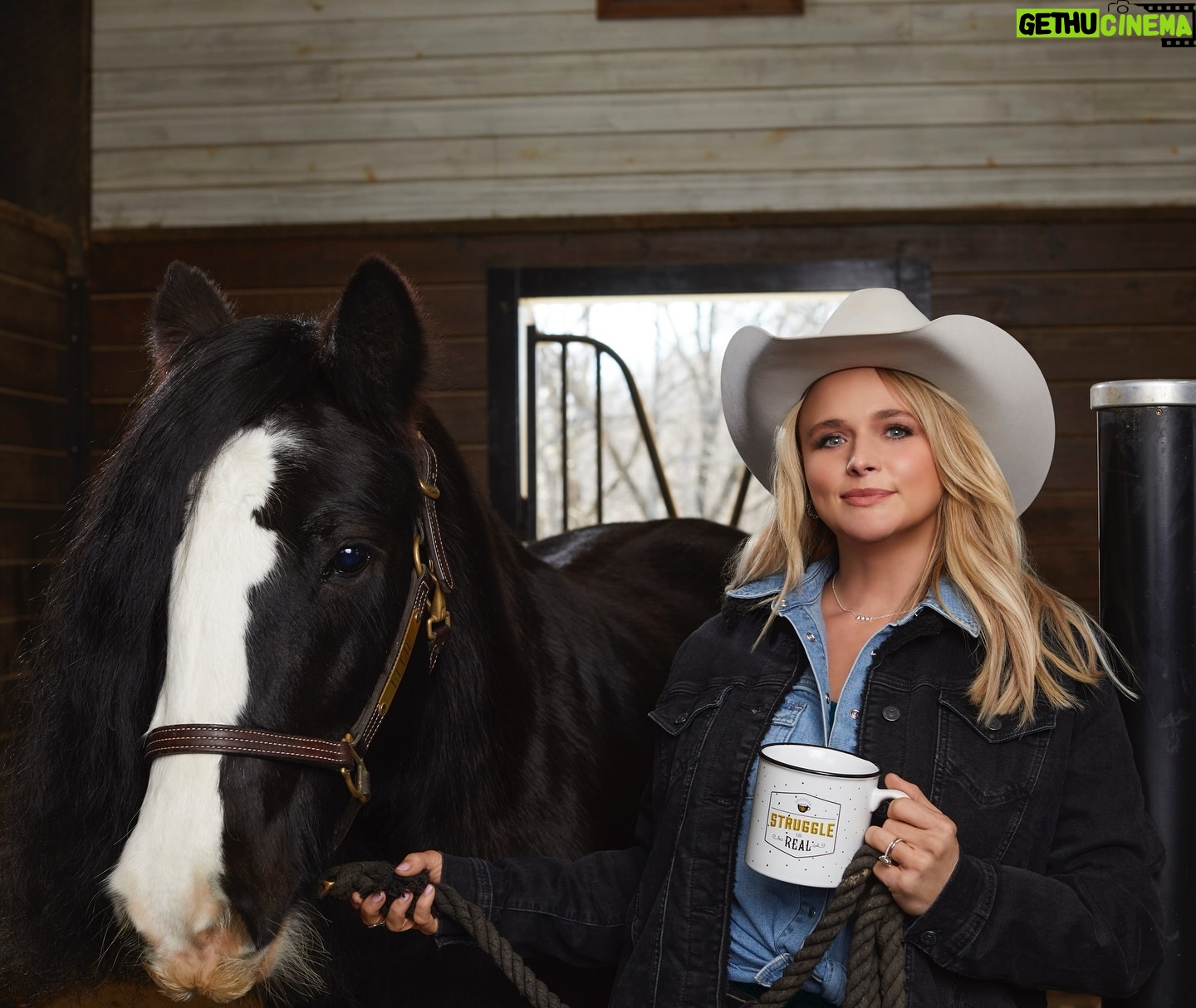 Miranda Lambert Instagram - The struggle is real but a day at the farm brings me back to life.