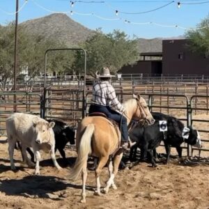 Miranda Lambert Instagram - Y’all …. I got to take a few days off  from the Velvet Rodeo in Vegas to go cowgirlin’ in AZ with my sweet friend @kenda_lenseigne. Thank you for welcoming  @samanthacrook1 and I into your bad ass gal gang and for introducing us to all your friends and family . Oh and thanks letting us camp in the bus in your yard for 3 days🤠🤷‍♀️. Everyone was so great to us. Your knowledge, kindness and skill blew our minds. And most importantly thank you for letting me ride Lieutenant Justin the legend. I’ll never get over that. What a horse. There were a lot of first time for everything’s this week. Mounted shooting, cutting and sorting cows, (thanks Kent and Janice ) and elk bourguignon made by Ian. Loved it all. Y’all can’t get rid of us now. See ya way too soon 🤠. 

Slide 3 Bam Bam doing Bam Bam things in the back😂. 🐴

Last slide is the boss @kenda_lenseigne showing us how it’s done. The actual Fastest Girl in Town. 

Take away sayin’s from the week …
Bear Down
Stay ready so you don’t have to get ready 
Do whatever is fun
No tears Tuesday 
Let’s give em a do over (3rd times a charm team ML and Kenda) 
Country Money (thanks Sam for repping my merch shirt😂)