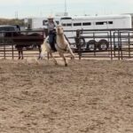 Miranda Lambert Instagram - Y’all …. I got to take a few days off from the Velvet Rodeo in Vegas to go cowgirlin’ in AZ with my sweet friend @kenda_lenseigne. Thank you for welcoming @samanthacrook1 and I into your bad ass gal gang and for introducing us to all your friends and family . Oh and thanks letting us camp in the bus in your yard for 3 days🤠🤷‍♀️. Everyone was so great to us. Your knowledge, kindness and skill blew our minds. And most importantly thank you for letting me ride Lieutenant Justin the legend. I’ll never get over that. What a horse. There were a lot of first time for everything’s this week. Mounted shooting, cutting and sorting cows, (thanks Kent and Janice ) and elk bourguignon made by Ian. Loved it all. Y’all can’t get rid of us now. See ya way too soon 🤠. Slide 3 Bam Bam doing Bam Bam things in the back😂. 🐴 Last slide is the boss @kenda_lenseigne showing us how it’s done. The actual Fastest Girl in Town. Take away sayin’s from the week … Bear Down Stay ready so you don’t have to get ready Do whatever is fun No tears Tuesday Let’s give em a do over (3rd times a charm team ML and Kenda) Country Money (thanks Sam for repping my merch shirt😂) New River, Arizona