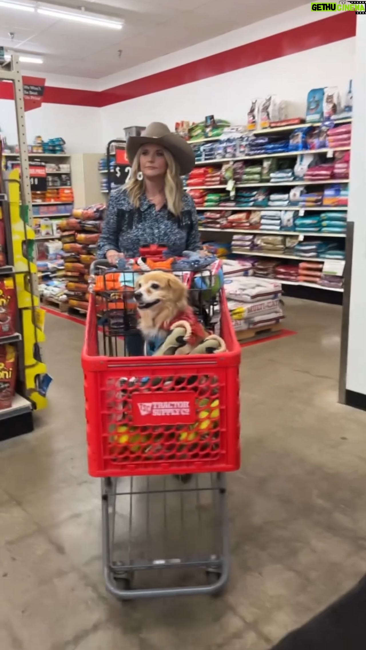 Miranda Lambert Instagram - My heart is so happy!! Had the best day with my band at @heartsaliveanimalrescue & @nevada.spca. Thank you @tractorsupply for helping us give these fur babies and shelters the love they deserve!! ππΆ
