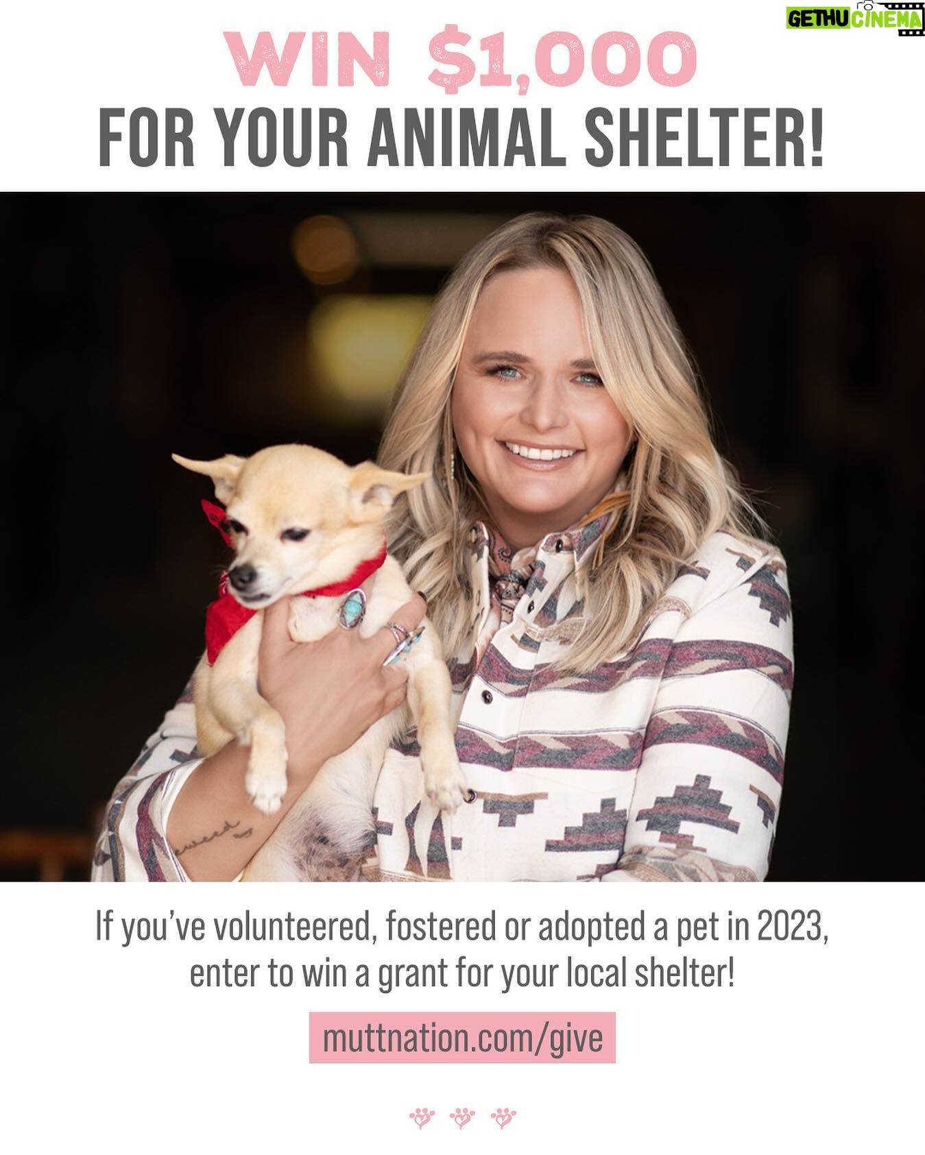 Miranda Lambert Instagram - @muttnation’s Share the Love is back! Thank y’all for helping out your local shelters this year 💖 Enter at the link in my bio. 🌟🐶