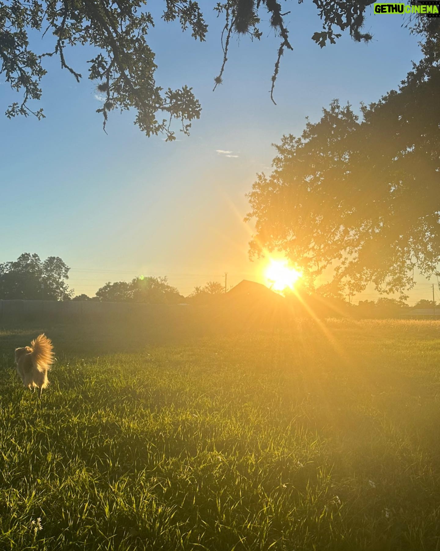 Miranda Lambert Instagram - Some Fall favโs ๐๐๐งก @brendanjmcloughlin in his happy place๐ Mutt butt sunset โ๏ธ @muttnation @aaronraitiere puttin some more songs in my old pink guitar First time writing with dean dillon! ๐ค hero Cowboy kisses ๐ด Casserole @wandajunehome Hay girl hay๐โโ๏ธ @idyllwind Making songs with @ashleymonroemusic ๐ถ Pasture party ๐ด๐ถ Couch potato ๐ถ