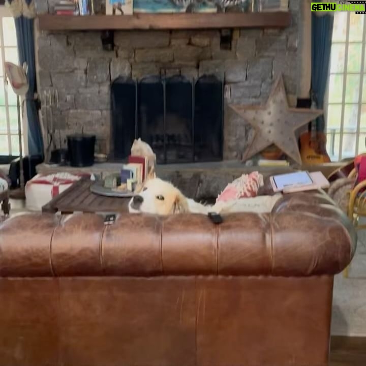 Miranda Lambert Instagram - Some Fall favโs ๐๐๐งก @brendanjmcloughlin in his happy place๐ Mutt butt sunset โ๏ธ @muttnation @aaronraitiere puttin some more songs in my old pink guitar First time writing with dean dillon! ๐ค hero Cowboy kisses ๐ด Casserole @wandajunehome Hay girl hay๐โโ๏ธ @idyllwind Making songs with @ashleymonroemusic ๐ถ Pasture party ๐ด๐ถ Couch potato ๐ถ