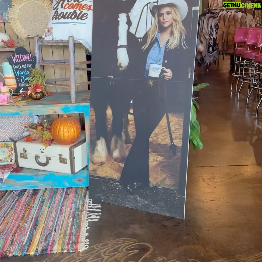 Miranda Lambert Instagram - Stopped by my hometown @thepinkpistol @red55winery on the way to Round Top for the fall antiques show. I always love my time in Texas. @junkgypsy “I’m a fan of it…old shit”😘🤠