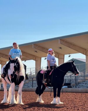 Miranda Lambert Instagram - First horse show since 2019! What a weekend. Thanks @samanthacrook1 for helping us get back in show mode! Gypsy Vanner’s forever💕🦄