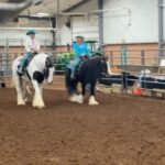 Miranda Lambert Instagram - First horse show since 2019! What a weekend. Thanks @samanthacrook1 for helping us get back in show mode! Gypsy Vanner’s forever💕🦄 Grady County Fair Grounds