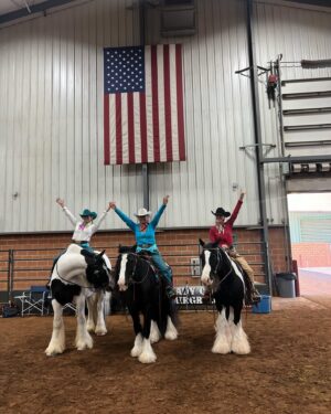 Miranda Lambert Instagram - First horse show since 2019! What a weekend. Thanks @samanthacrook1 for helping us get back in show mode! Gypsy Vanner’s forever💕🦄