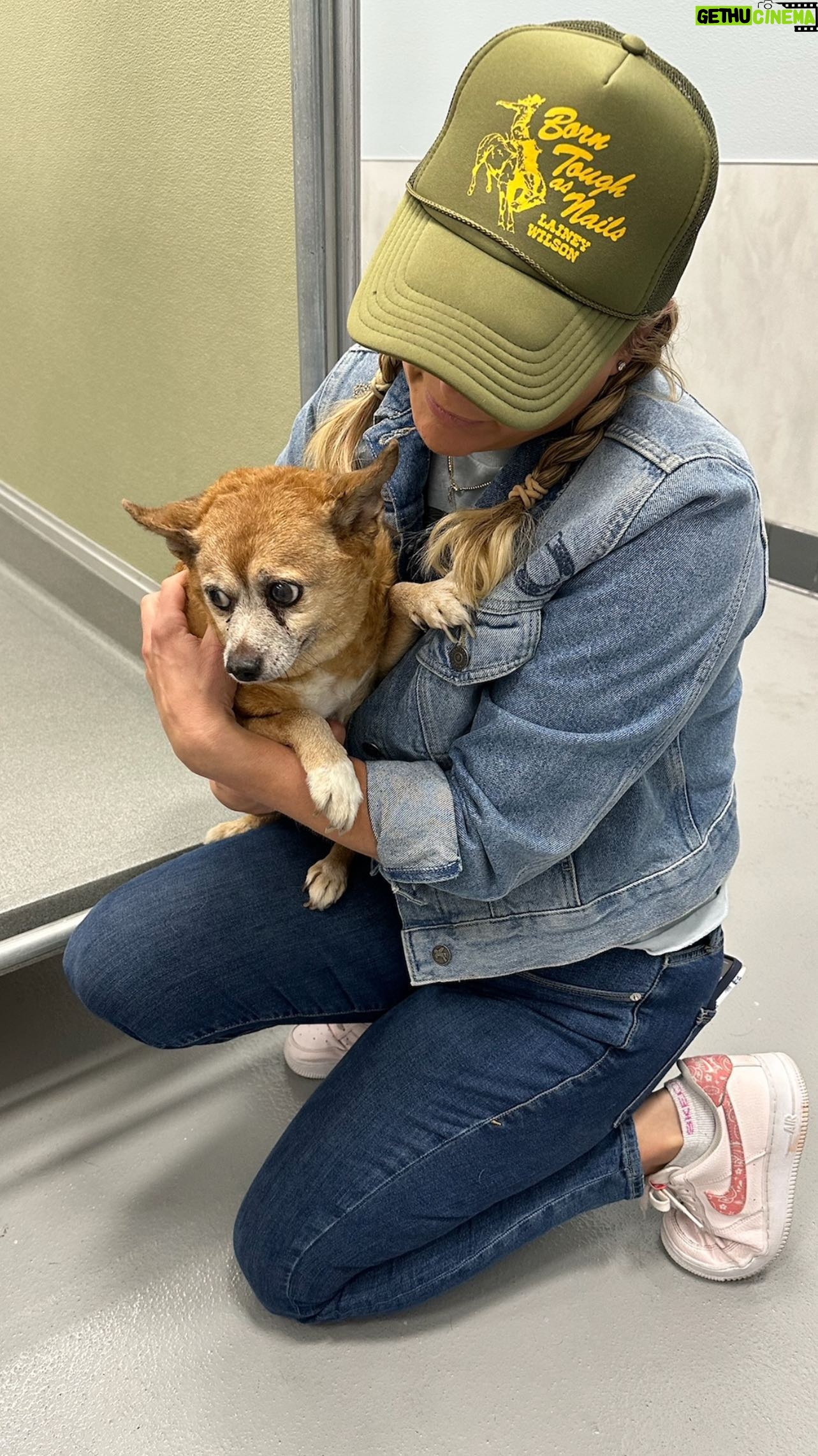 Miranda Lambert Instagram - I mean look at these sweet babies from @nevada.spca y’all!!! 💕🥰 Las Vegas, Nevada