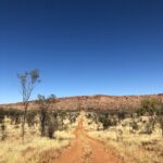 Miranda Otto Instagram – On the road this morning… 🚙☀️#truecolours