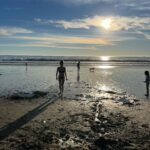 Miranda Otto Instagram – LA Christmas 26 Celsius beach day. ❤️🙏🎄👏🏝