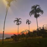 Miranda Otto Instagram - Beautiful Darwin, warm winter. 🌴🌴🌴🌴
