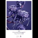 Miriam Yeung Chin-Wah Instagram - 「沒有過去的你 便無今天的我」 音樂人生盛載了不少笑中有淚的故事，感恩路上仍有你們結伴同行。 一數再數，無論來年剩多少百萬秒，還有很多事情一起慶祝。在這特別的日子，誠邀各群英們一起為年輪刻上新的環紋。 是次歌迷專場是首次生日限定活動，千嬅預備了充滿驚喜的秘密歌單和「手信」來答謝群英們多年來的陪伴和支持，期待與大家見面💜 楊千嬅 MEET YOU AT THE HALFWAY MINI CONCERT 生日限定 日期：2024年2月3日 (星期六) 時間：19:30 (17:00開始取票，19:00開始入場) 地點：東華三院東蒲胡李名靜體育館 地址：九龍黃大仙新蒲崗七寶街二號 票價：HK$580 購票資訊： 購票訊息發出日期：2024年1月15日中午12時 門票開售日期：2024年1月16日中午12時 購票平台手續費（購票時一併收取）：每張門票HK$50 購票平台：Perkd APP *只有升級會員”FANS“紫色卡才能參與購票活動 *每位會員只限購買門票1張，數量有限，先到先得 *劃位門票 *開售時點擊APP内的購票訊息進行購票 *詳細購票條款細則及入場安排以APP購票訊息為準 *如有任何爭議，千嬅群英會保留最終決定權 #楊千嬅MEETYOUATTHEHALFWAY #MIRIAMMINICONCERT生日限定