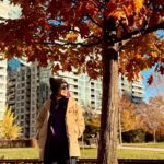 Miriam Yeung Chin-Wah Instagram - Hello Toronto 🌟 After 4 years …. See u all tomorrow 🍁 #MYTREEOFLIVEWORLDTOUR
