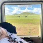 Miwako Kakei Instagram – Kenya🦓🦒🐆🦬🐄🐘🦁