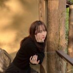 Miyu Honda Instagram - なかなか目が合いませんね。