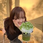 Miyu Honda Instagram - 夏を感じちゃいました。