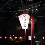 Mizuki Yamamoto Instagram - ⋆⸜☾⸝‍⋆ 桜が少し咲いていました。 これからどんどん咲いていくかな。 スチール哲平 @steelteppei さんの焼き鳥屋さん @teppeichan2024 へ。 プレオープンしているので、皆様お花見に是非。
