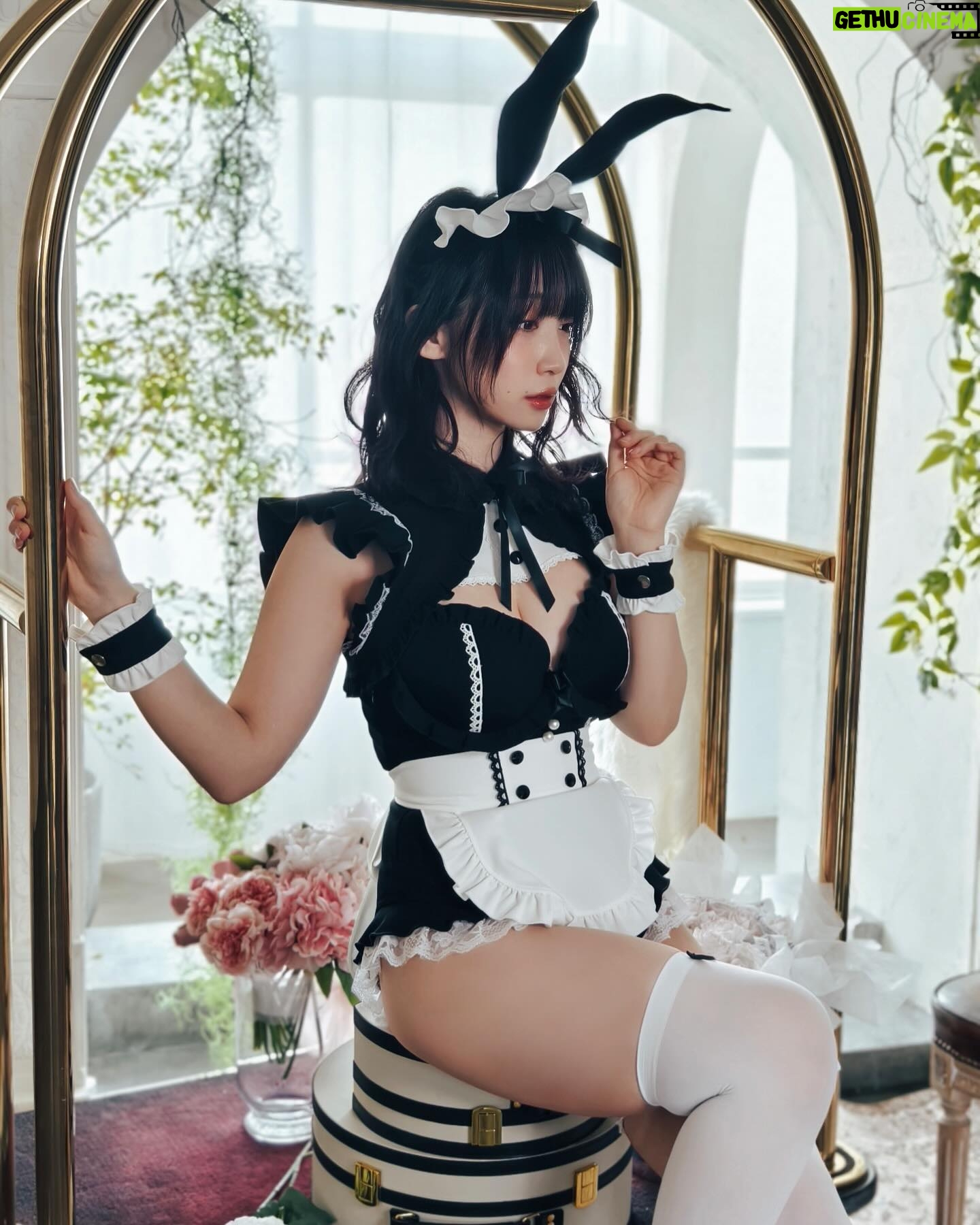 Moe Iori - 40.8K Likes - #きゅるん
malymoonさんの新作の撮影に行ってきたよ〜!🥳
今回の衣装もお胸が盛れるし最高にデザインもかわよだった…🐰🐇
#malymoon #cosplay