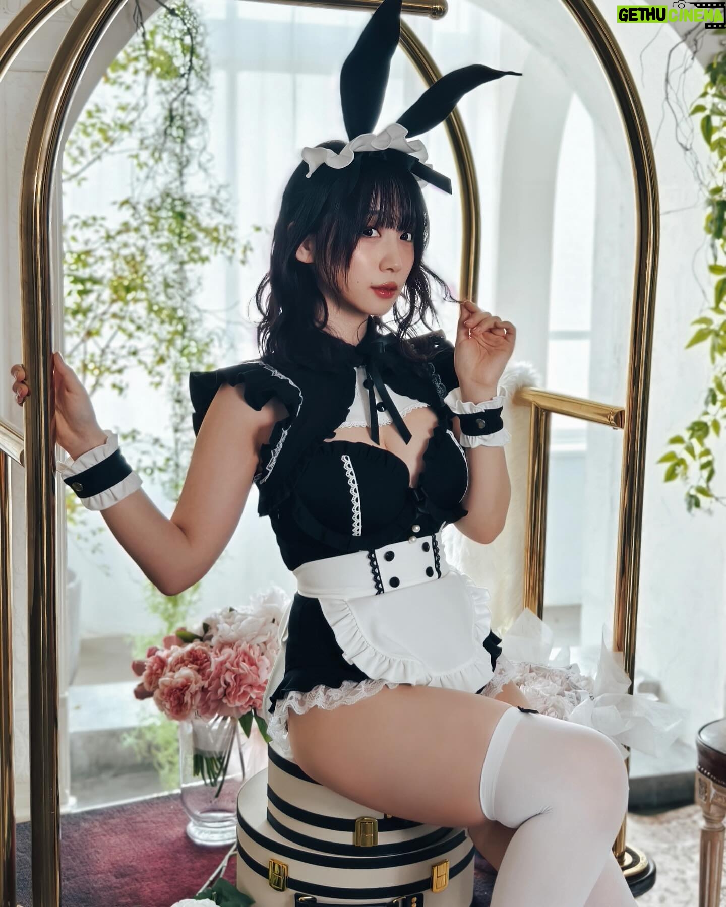 Moe Iori - 40.8K Likes - #きゅるん
malymoonさんの新作の撮影に行ってきたよ〜!🥳
今回の衣装もお胸が盛れるし最高にデザインもかわよだった…🐰🐇
#malymoon #cosplay