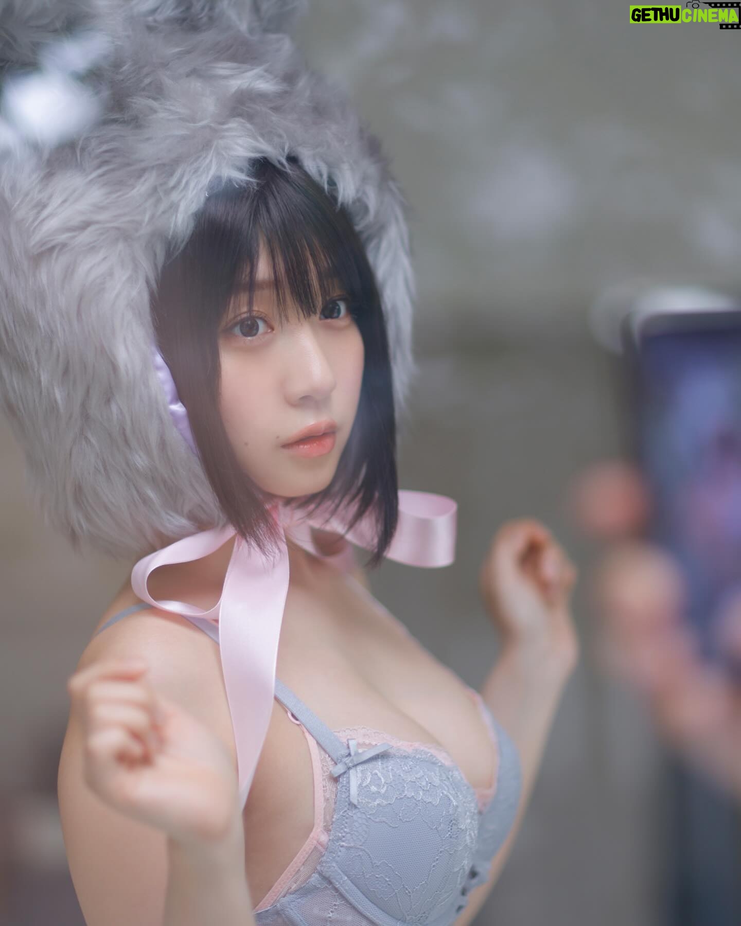 Moe Iori - 40.1K Likes - うさちゃん🐰
#グラビア #cosplay #きゅるん