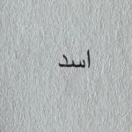 Mohamed Ramadan Instagram - المخرج و السيناريست أ.خالد دياب أولاً شكراً على كلامك الجميل ثانياً شكراً على مشاركتك في كتابة فيلم أسد ثالثاً انا محظوظ بوجودي مع منظومة آل دياب المتكاملة. الله الموفق🎬🎥