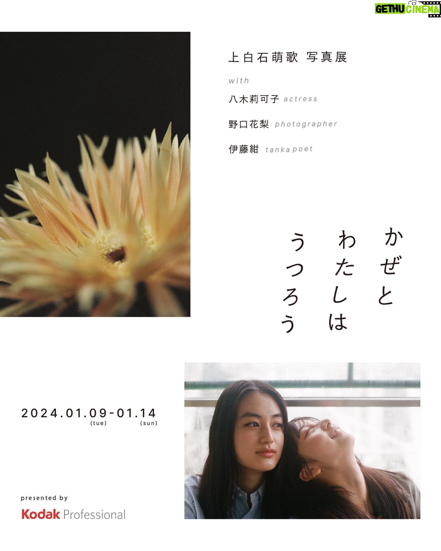 Moka Kamishiraishi Instagram - 初の写真展「かぜとわたしはうつろう」を 開催することになりました。 写真は、撮ることも撮られることも、私にとって呼吸をさせてくれるようなかけがえのないもの。とりわけフィルムは、時間や感情を焼き付けておくことができる、心の日記のようなものです。 これまで撮り溜めてきた写真や、いま自分がみているものたちを、いつかどうにか形にして共有できたら、と思っていた矢先、Kodakさんに素敵なお声がけをいただきました。なんとすべてKodakさんのフィルム PORTRA400を使った展示になります。 ずっと目で追いかけていたくなるような、みずみずしい光を纏っている俳優の八木莉可子さん、 昔からのお友達で、素直な時間をいつも切り取ってくれるフォトグラファーの野口花梨さん、 言葉のちからでいつも私に新しい視点と感情をくれる歌人の伊藤紺さん。 同世代でリスペクトする大好きなお三方にこのプロジェクトにご賛同いただき、心に届く展示にすべく鋭意製作中です。 ふだん俳優である私にとって写真展というのは初の試みです。はじめてのことだらけ手探りではありますが、表現とは本来ボーダーレスなものであるはず。いつも自分の好き、という気持ちと好奇心には、まっすぐでありたいと思っています。 どうか足を運んでいただけると嬉しいです。詳細はまた後日! #かぜとわたしはうつろう