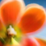 Moka Kamishiraishi Instagram - 初の写真展「かぜとわたしはうつろう」を 開催することになりました。 写真は、撮ることも撮られることも、私にとって呼吸をさせてくれるようなかけがえのないもの。とりわけフィルムは、時間や感情を焼き付けておくことができる、心の日記のようなものです。 これまで撮り溜めてきた写真や、いま自分がみているものたちを、いつかどうにか形にして共有できたら、と思っていた矢先、Kodakさんに素敵なお声がけをいただきました。なんとすべてKodakさんのフィルム PORTRA400を使った展示になります。 ずっと目で追いかけていたくなるような、みずみずしい光を纏っている俳優の八木莉可子さん、 昔からのお友達で、素直な時間をいつも切り取ってくれるフォトグラファーの野口花梨さん、 言葉のちからでいつも私に新しい視点と感情をくれる歌人の伊藤紺さん。 同世代でリスペクトする大好きなお三方にこのプロジェクトにご賛同いただき、心に届く展示にすべく鋭意製作中です。 ふだん俳優である私にとって写真展というのは初の試みです。はじめてのことだらけ手探りではありますが、表現とは本来ボーダーレスなものであるはず。いつも自分の好き、という気持ちと好奇心には、まっすぐでありたいと思っています。 どうか足を運んでいただけると嬉しいです。詳細はまた後日！ #かぜとわたしはうつろう
