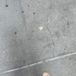 Molly Ringwald Instagram – The missing piece