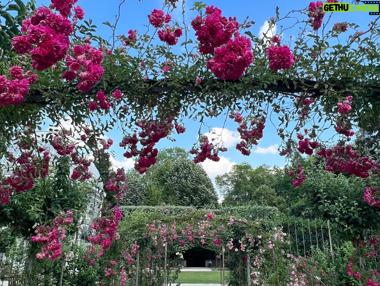 Molly Ringwald Instagram - What a magical place! Just outside of Paris I felt like I had entered a Miyazaki film. Merci Jean-Philippe for insisting! #albertkahn