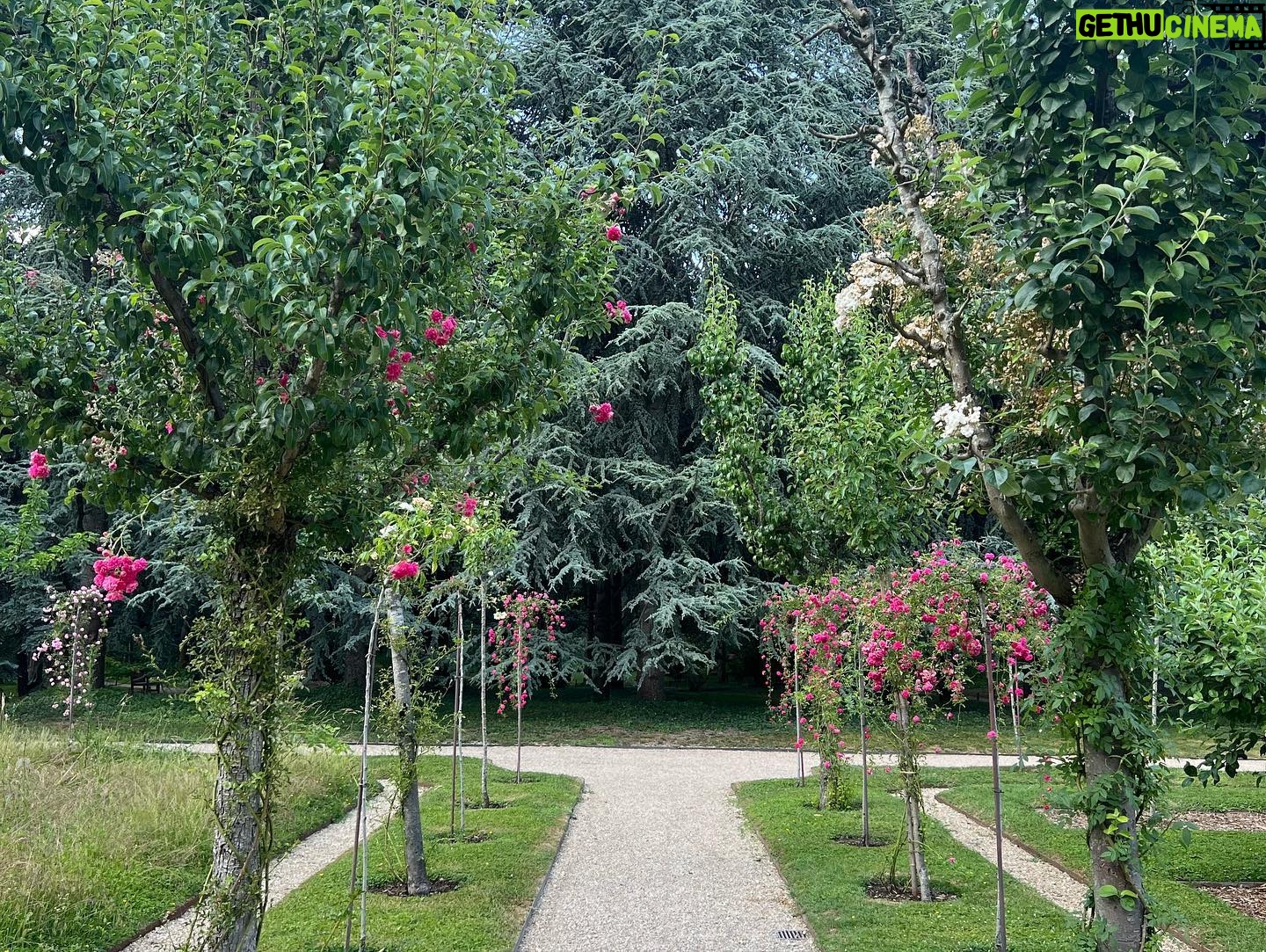 Molly Ringwald Instagram - What a magical place! Just outside of Paris I felt like I had entered a Miyazaki film. Merci Jean-Philippe for insisting! #albertkahn