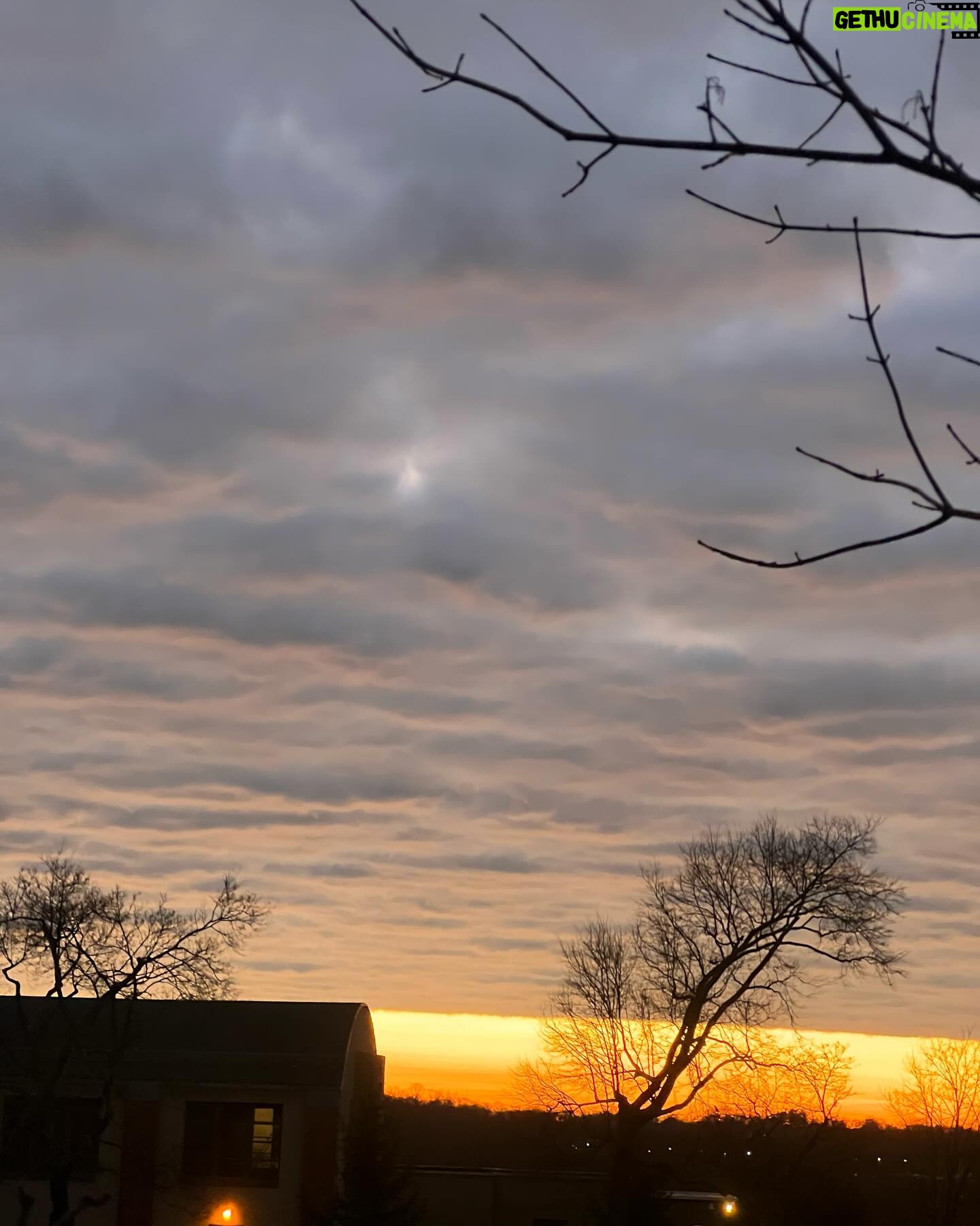 Molly Ringwald Instagram - Woke up early today, took the dogs for a walk and watched the āļø come up. I enjoyed the superior feeling I had closing all rings before kids went to school. Let's see if I can do it again š¤#sunrise #earlybird