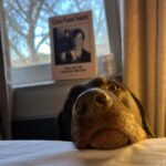 Molly Ringwald Instagram - She thinks she'll break me and I'll let her on the bed. #dogsofinstagram