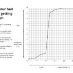 Molly Ringwald Instagram - Considering a major haircut? Let my 14 year old son Roman's helpful graph guide you on your journey ✂️ #haircut #graph #math #wisdom