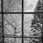 Molly Ringwald Instagram – Good morning ❄️