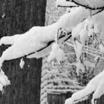 Molly Ringwald Instagram – Good morning ❄️
