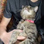 Molly Ringwald Instagram – My son Roman has the magic touch. He’s the only one that Safi lets rub her belly #cattrust