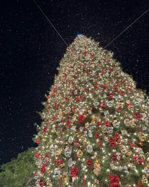 Momona Tamada Instagram - merry xmas friends