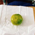 Mone Kamishiraishi Instagram - せかくらのロケで行ったタイ、ほんとうに微笑みの国でした。21日の放送に先駆けて本日14時から事前番組が放送されます。ぜひ！ これはタイの国内線で食べたきれいなみかん🍊とても甘くてアロイでした