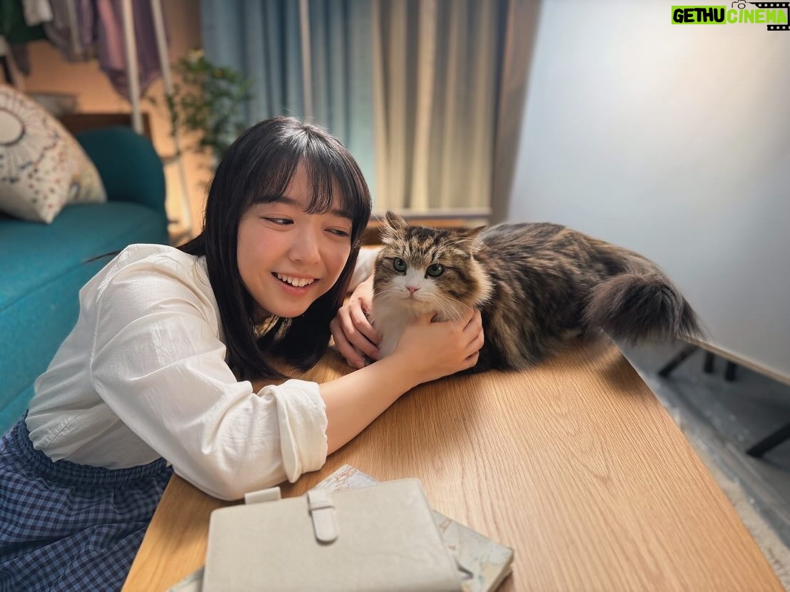 Mone Kamishiraishi - 71.5K Likes - サントリー生ビール、今月から飲食店でも!cmレギュラーキャストのしいさんは、本当はヒトなんじゃないか、もはやヒトより聞き分けがいいんじゃないかと思うほど賢いネコです🐈