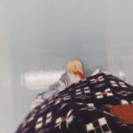 Mone Kamishiraishi Instagram - 今日は岡山でライブでした。この日にこの場所で歌えたこと、ずっと忘れません。カムカムチームのご厚意のもと、安子の前掛けと下駄に再会できた☺️ありがとうございました！