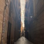 Mone Kamishiraishi Instagram - ちゃっかり続いていたせかくらのスペイン篇、今夜完結です。 日なたは暖かくて木かげは涼しくて、食べ物は美味しくて人は楽しくて ほんとに素敵な国でしたスペイン🇪🇸 また行きたい
