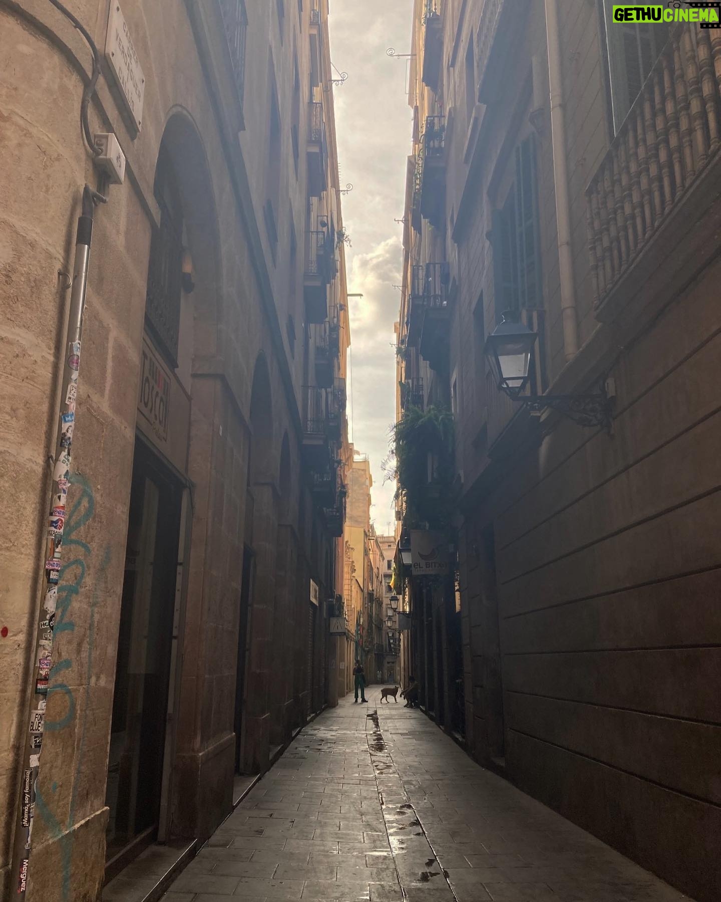 Mone Kamishiraishi Instagram - ちゃっかり続いていたせかくらのスペイン篇、今夜完結です。 日なたは暖かくて木かげは涼しくて、食べ物は美味しくて人は楽しくて ほんとに素敵な国でしたスペイン🇪🇸 また行きたい