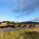 Monica Barbaro Instagram - Every day is Earth Day but here’s some Scotland