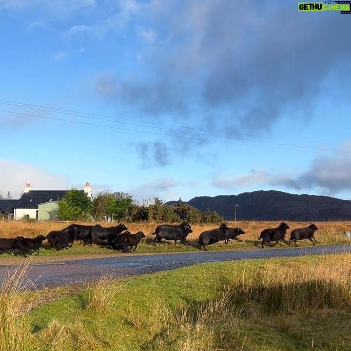 Monica Barbaro Instagram - Every day is Earth Day but here’s some Scotland