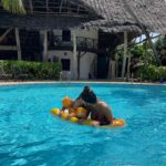 Monica Geuze Instagram - Tanzania, Zanzibar💭💚🌞🍌