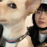 Monika Instagram - 끌어올려어어어어어어.jpg @다봉이