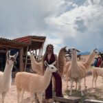 Monique Coleman Instagram - @mountainviewexperience 🇵🇪 was unbelievably magical ✨🦙🦙🦙 #corememoryunlocked #mountainviewexperience #theadventuresofmightymo #sacredvalleyperu