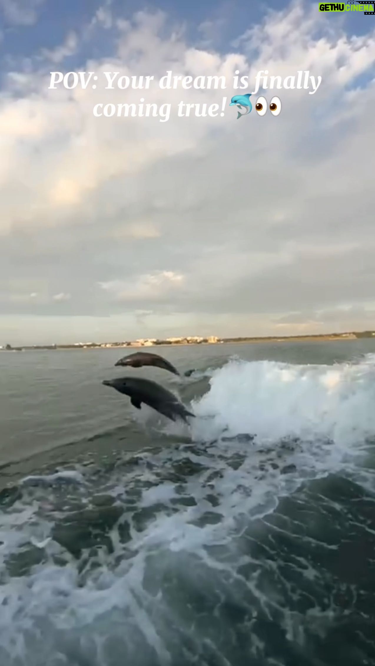 Monique Westenberg Instagram - Altijd wanneer ik op het water ben hoop ik wilde dolfijnen te zien die met de boot mee zwemmen. Dankzij alle tips van jullie om met de Little Tooth te gaan varen, kwam deze ‘droom’ gisteren uit! Dankjulliewel 🐬💕